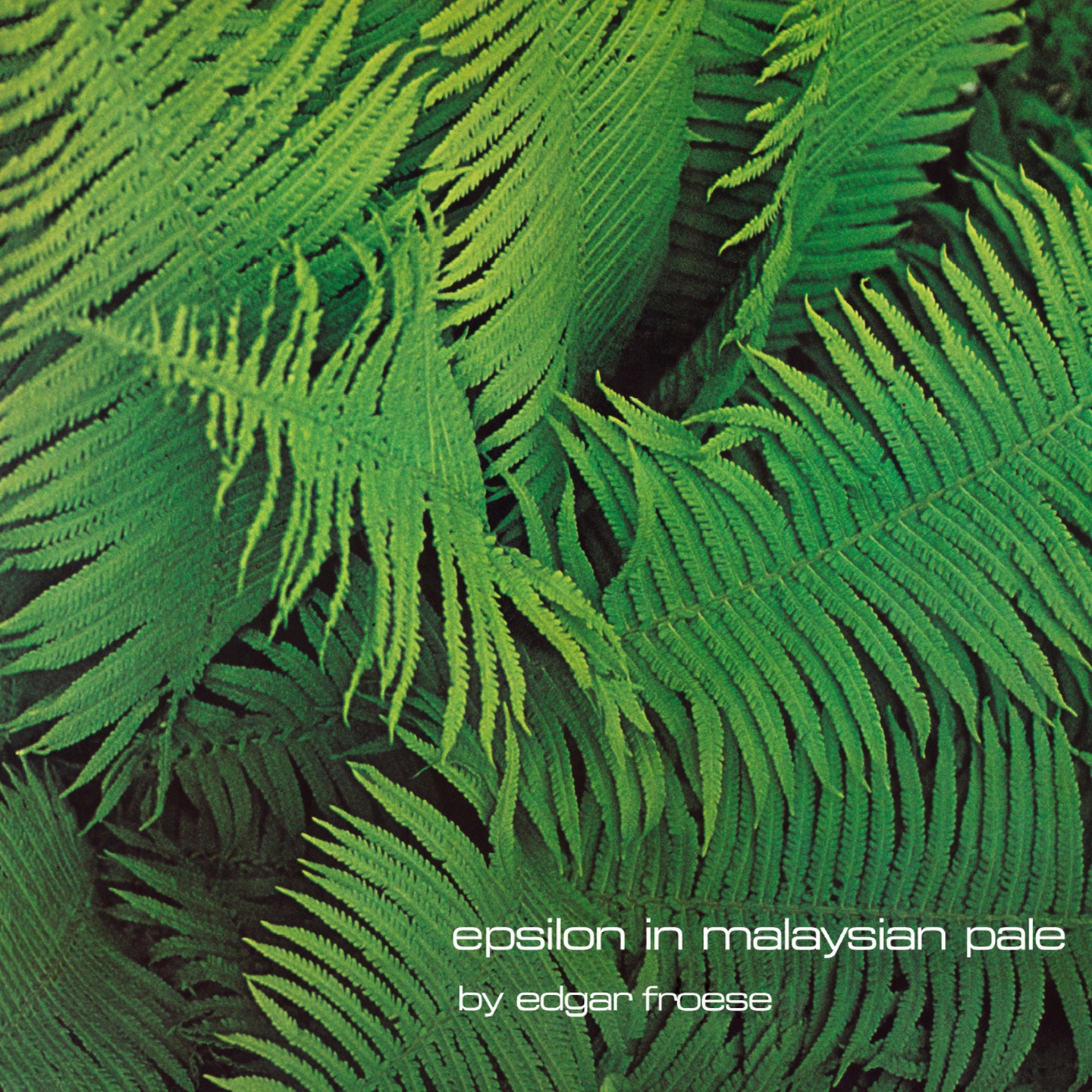 Epsilon In Malaysian Pale album cover