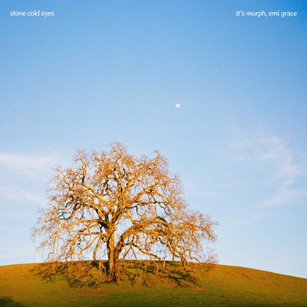 Stone Cold Eyes - Single album cover