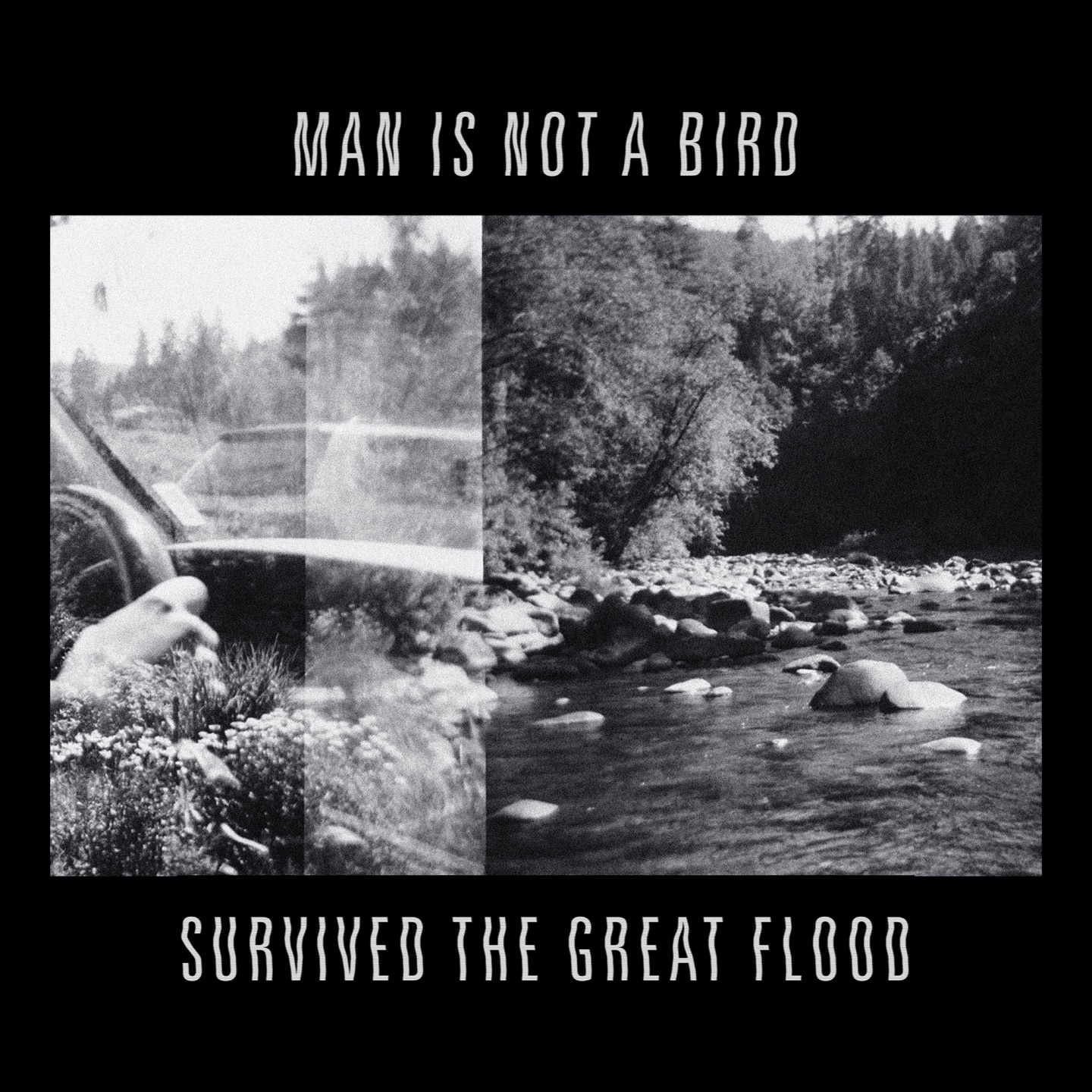 Survived the Great Flood - Single album cover