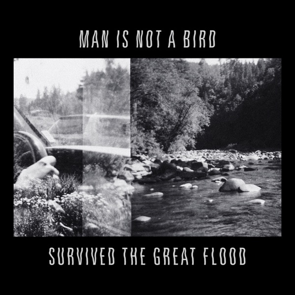Survived the Great Flood - Single album cover
