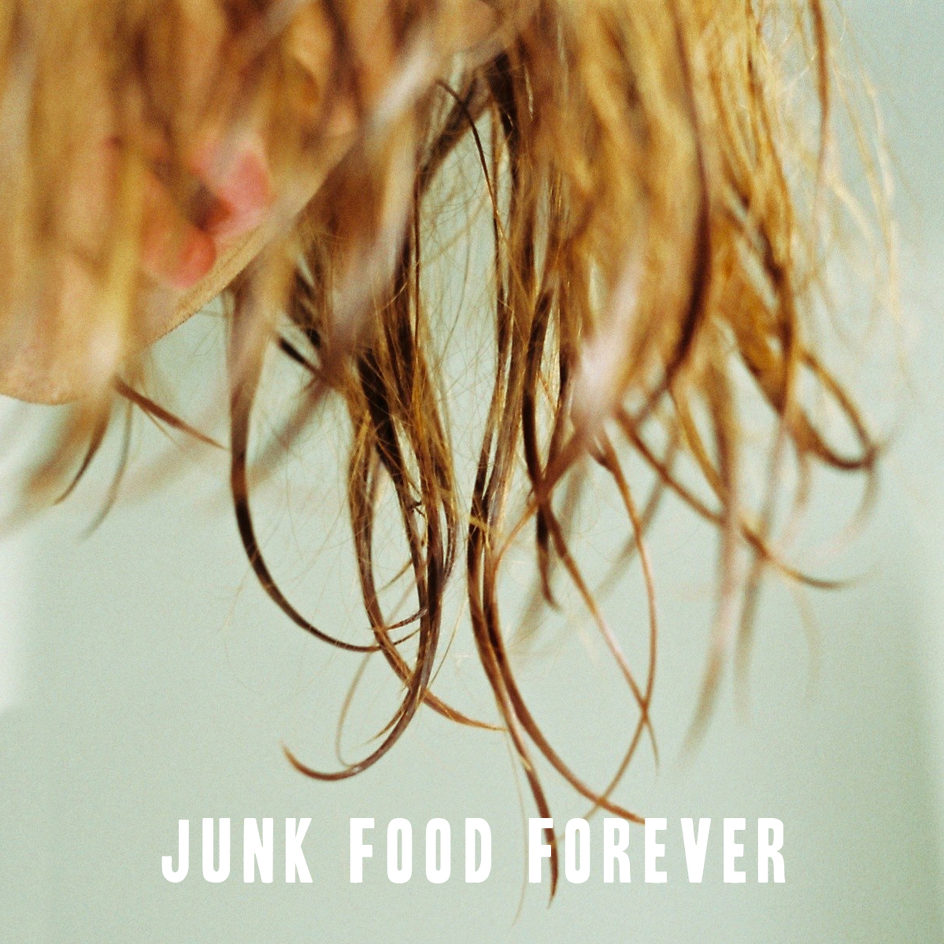 Junk Food Forever - Single album cover