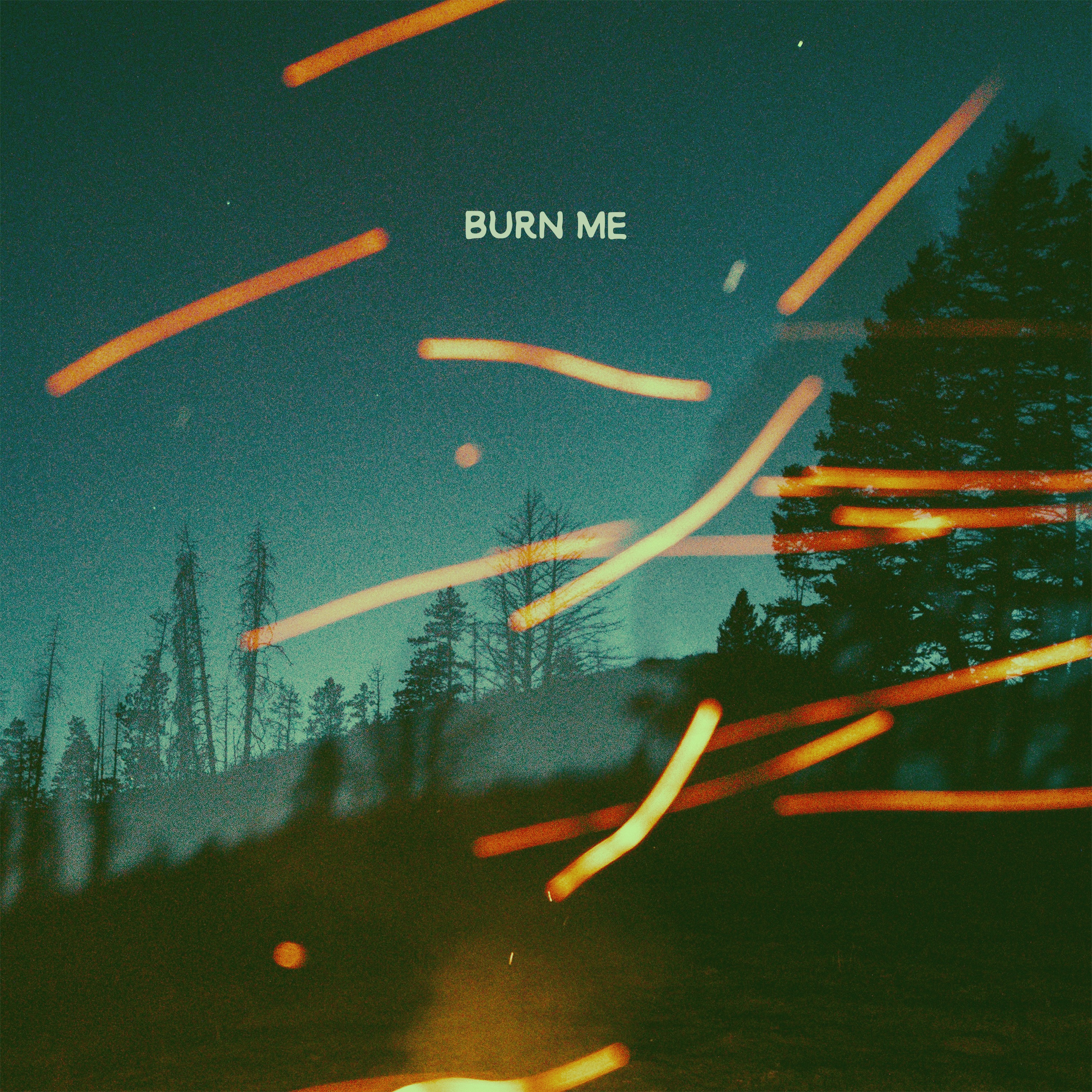 Burn Me - Single album cover