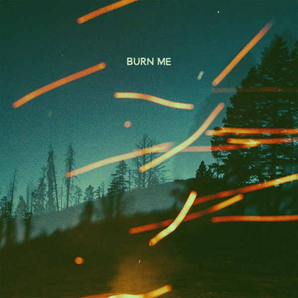 Burn Me - Single album cover
