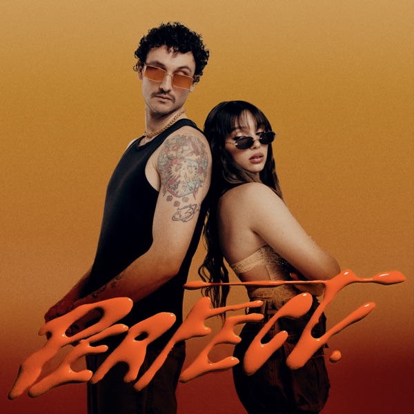 PERFECT (feat. Sarah Toscano) - Single album cover