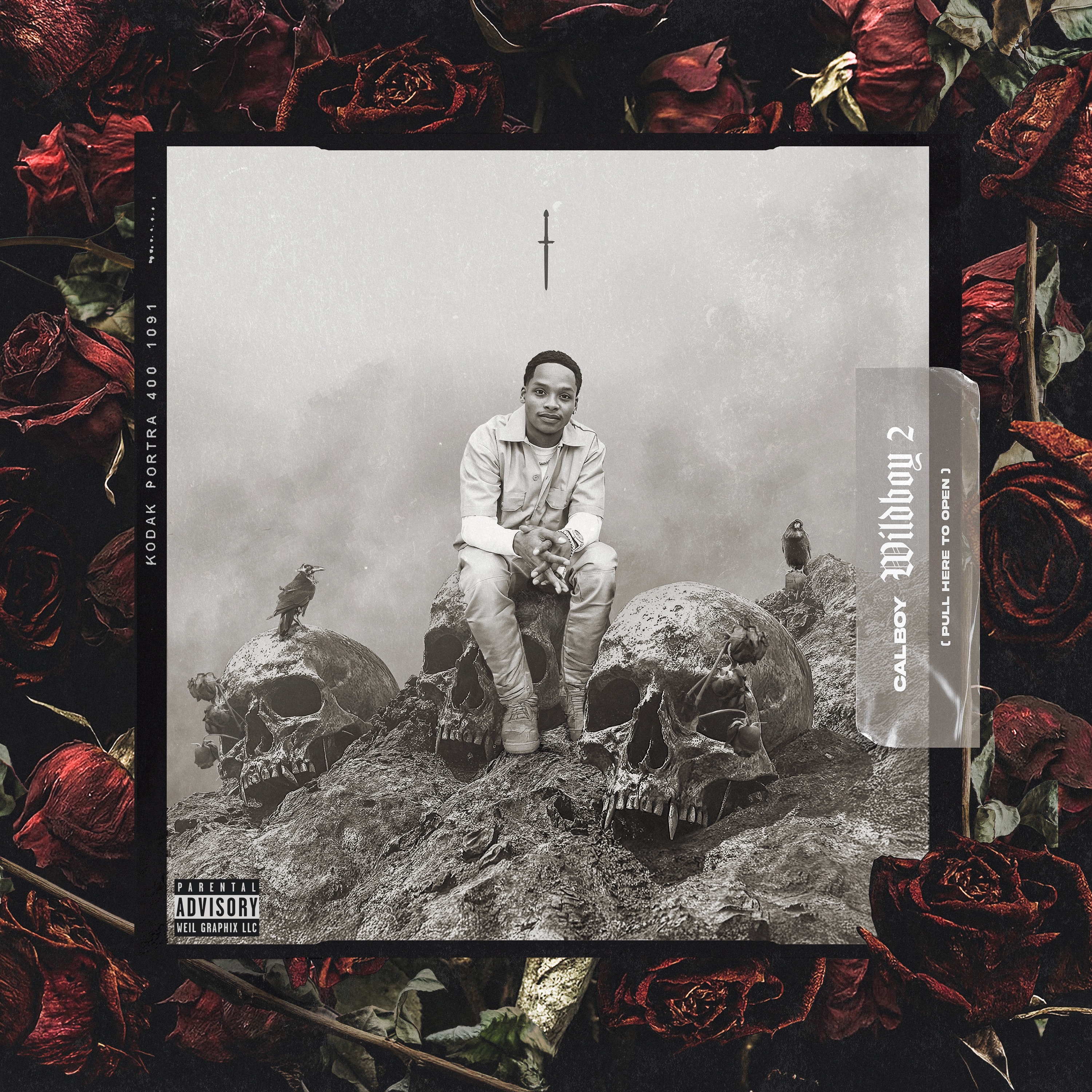 Wildboy 2 album cover