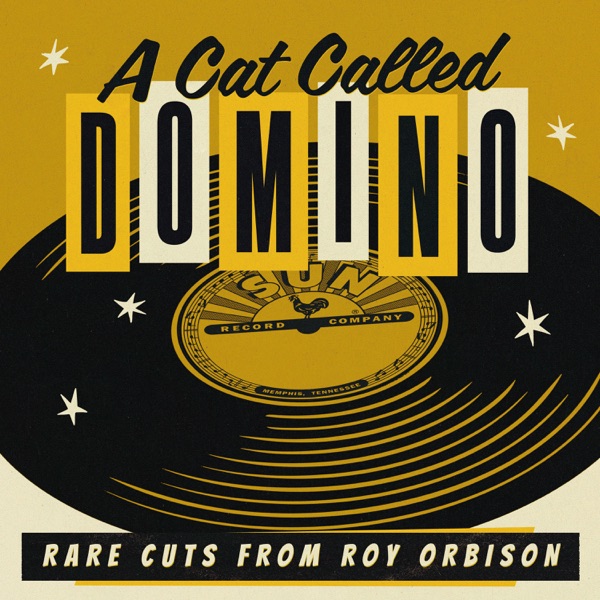 A Cat Called Domino: Rare Cuts from Roy album cover