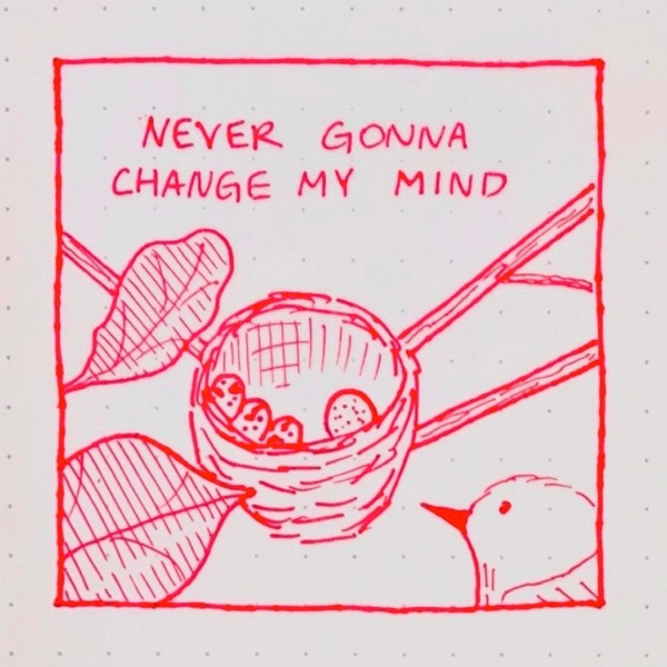never gonna change my mind - Single album cover