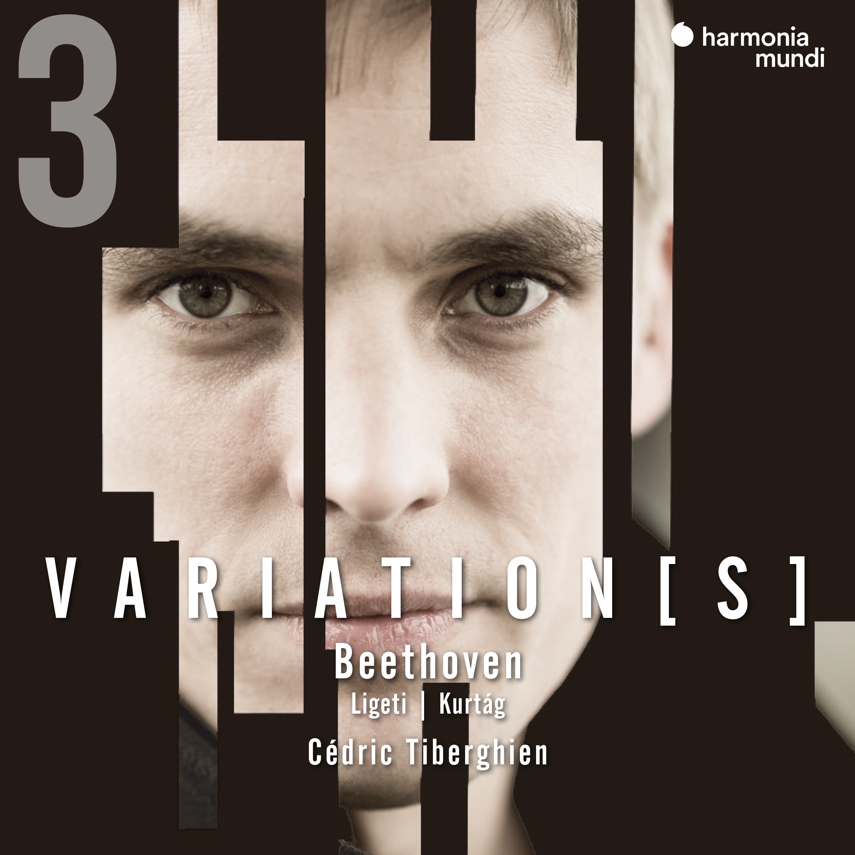 Beethoven: Complete Variations for Piano, Vol. 3 album cover