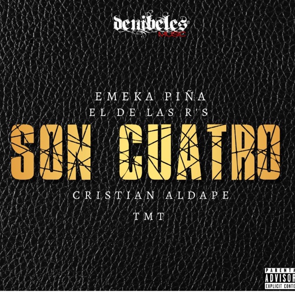 Son Cuatro (feat. El De Las R's, Cristian Aldape & Tmt) - Single album cover