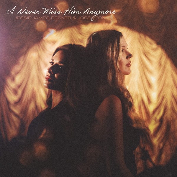 I Never Miss Him Anymore - Single album cover