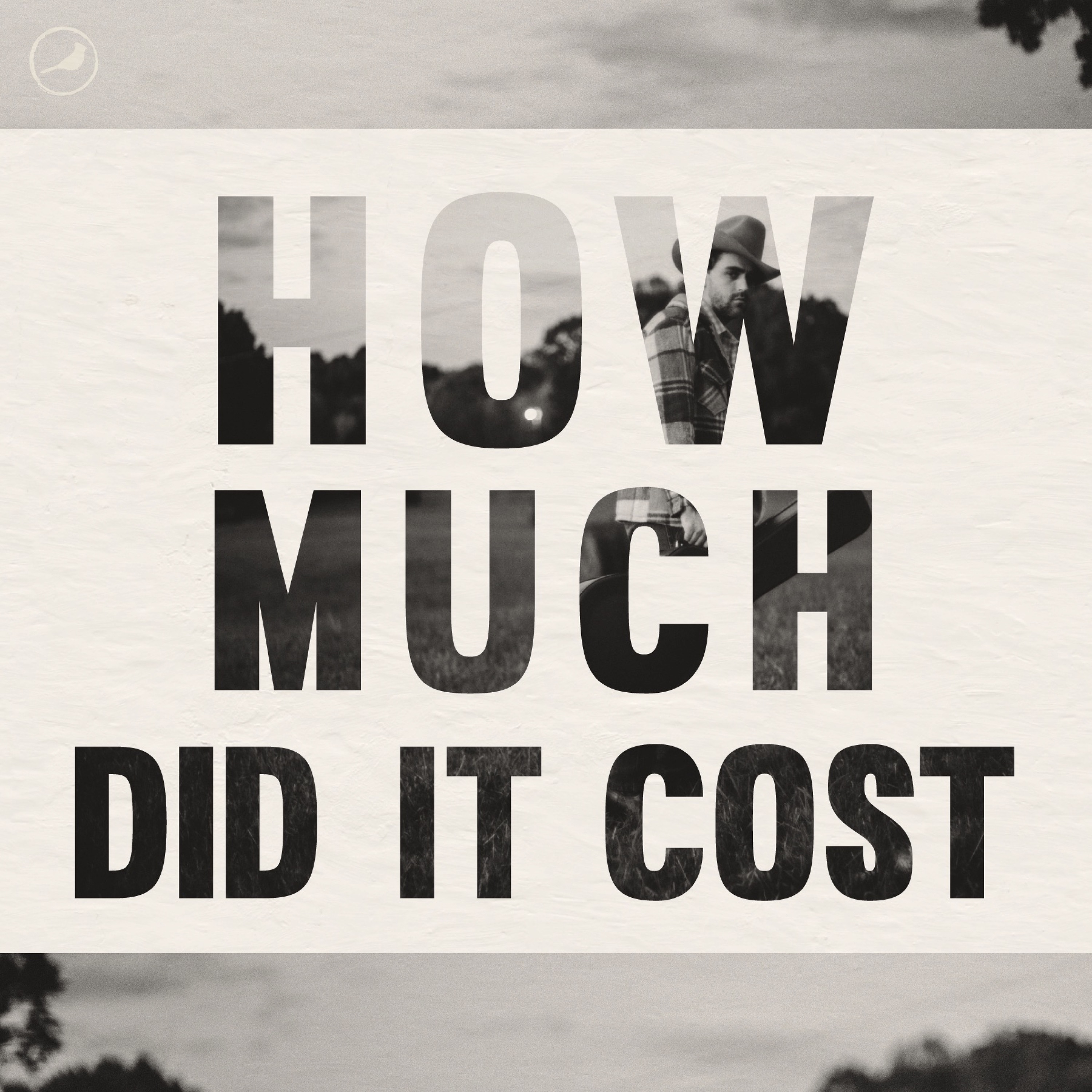 How Much Did It Cost - Single album cover
