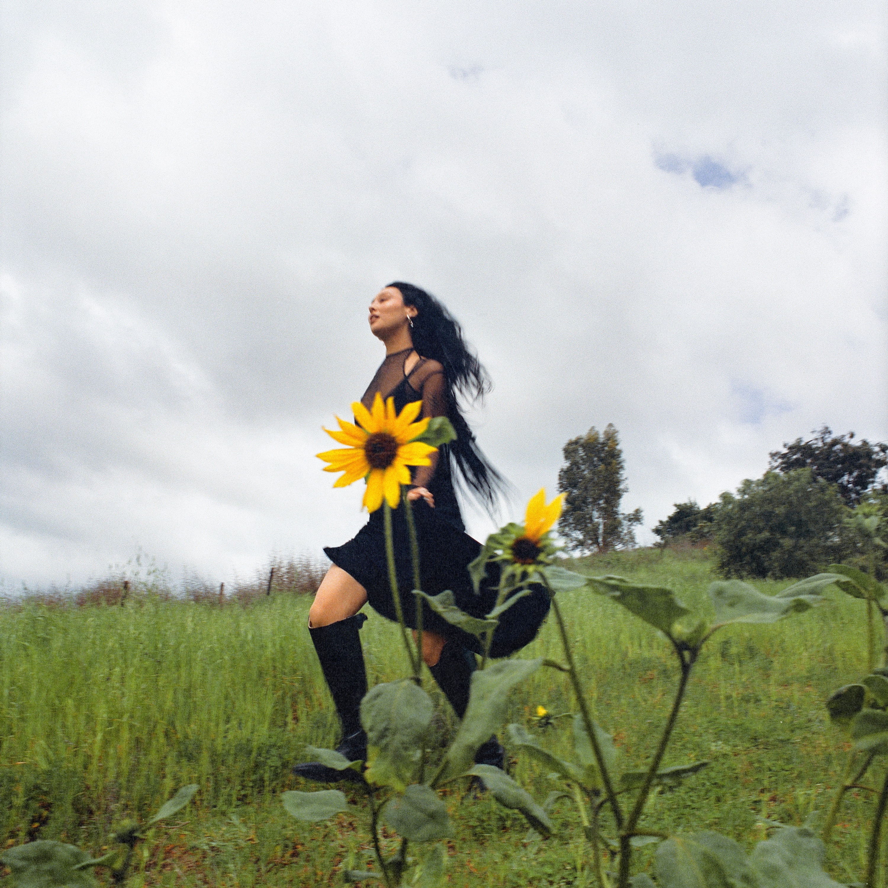 Fantasy (feat. Raveena) - Single album cover