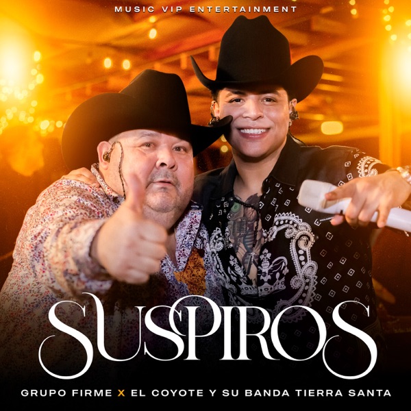 Suspiros (En Vivo) - Single album cover