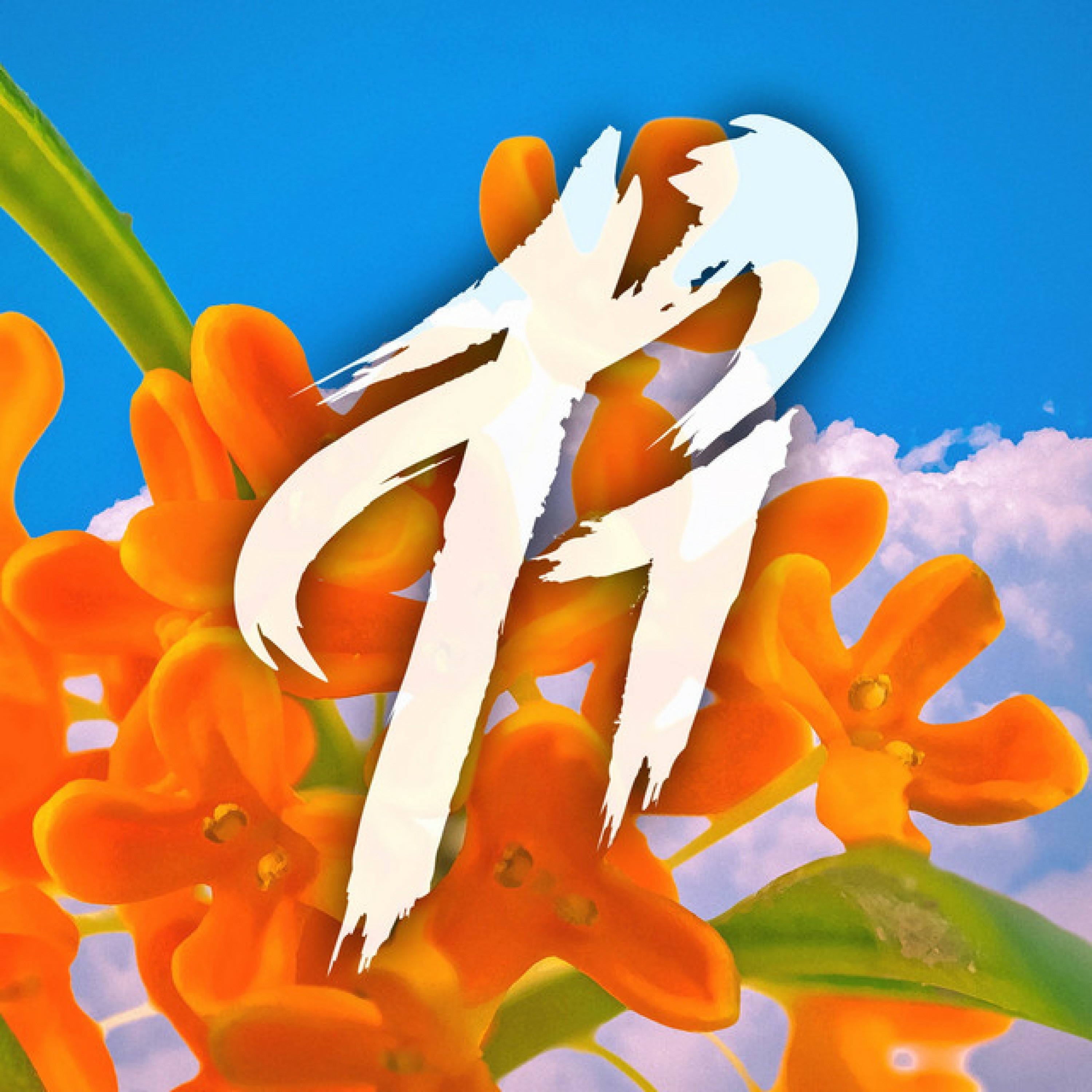 Mokusei - Single album cover