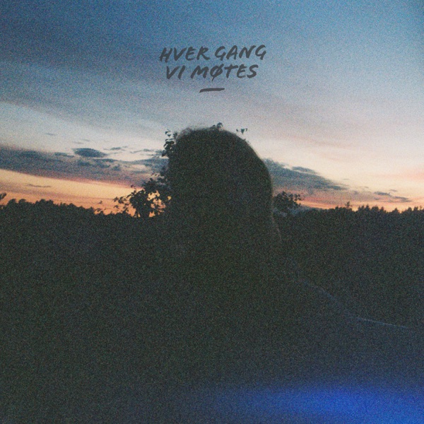 Hver Gang Vi Møtes 2025 album cover