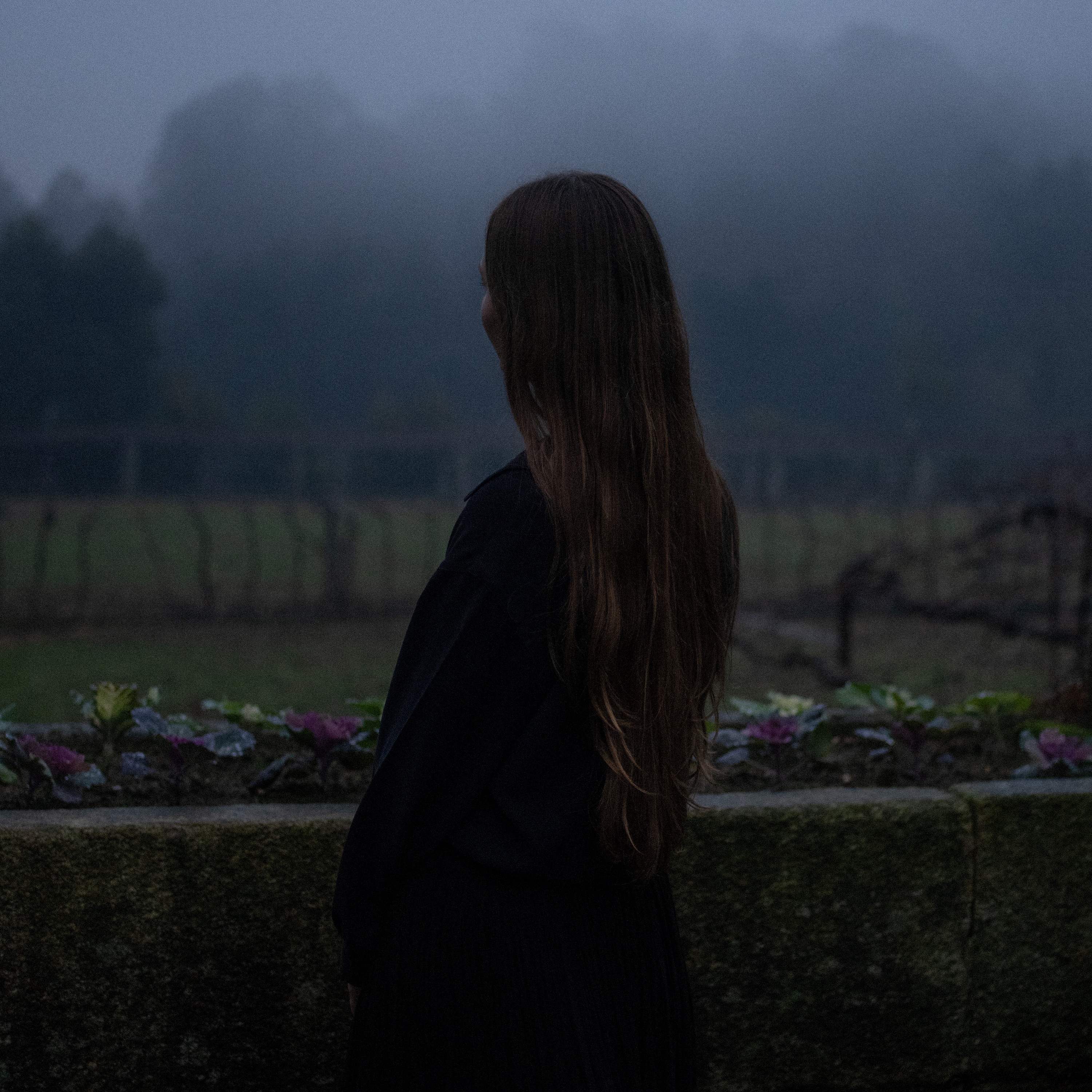 A Series of Actions in a Sphere of Forever album cover