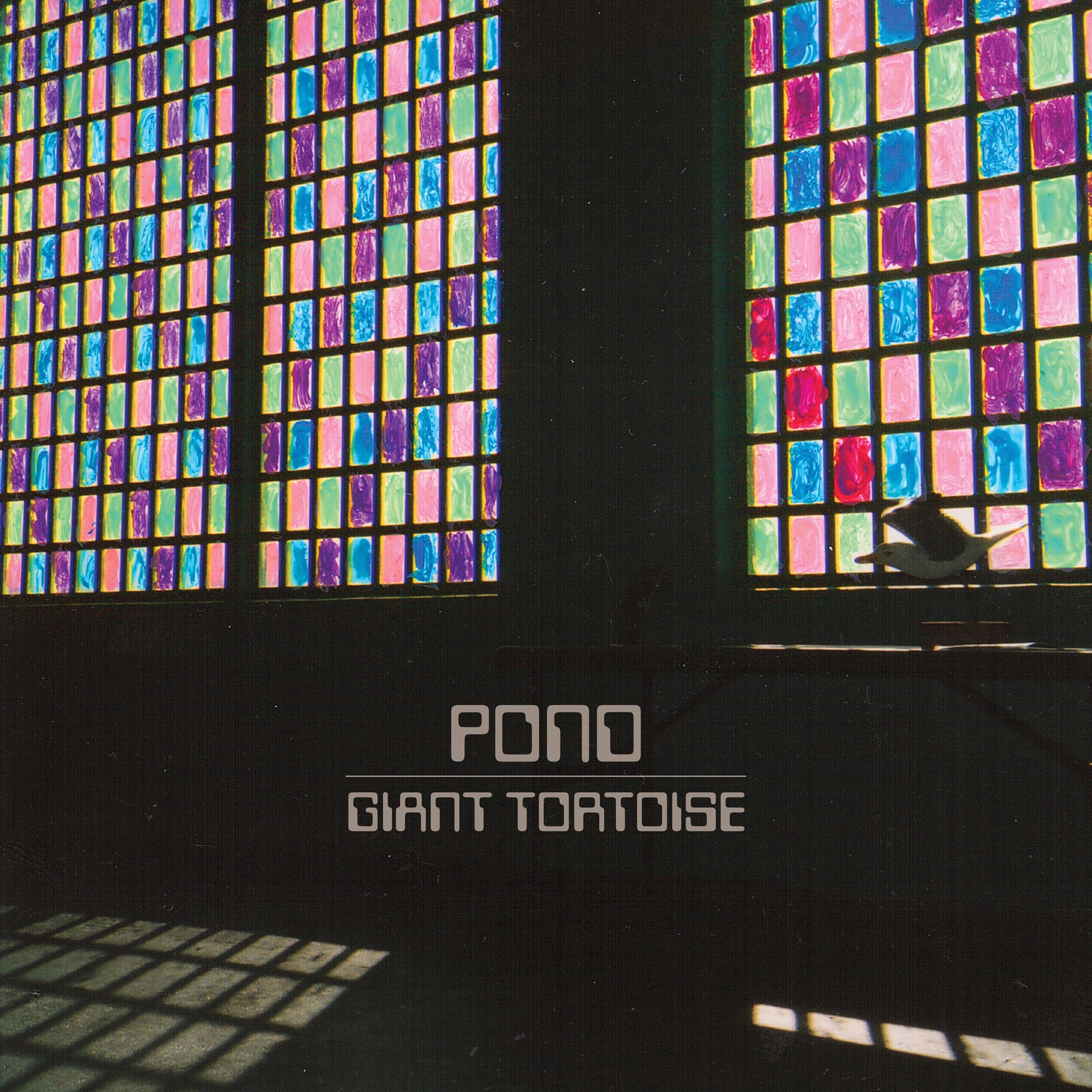 Giant Tortoise - Single album cover