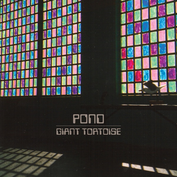 Giant Tortoise - Single album cover