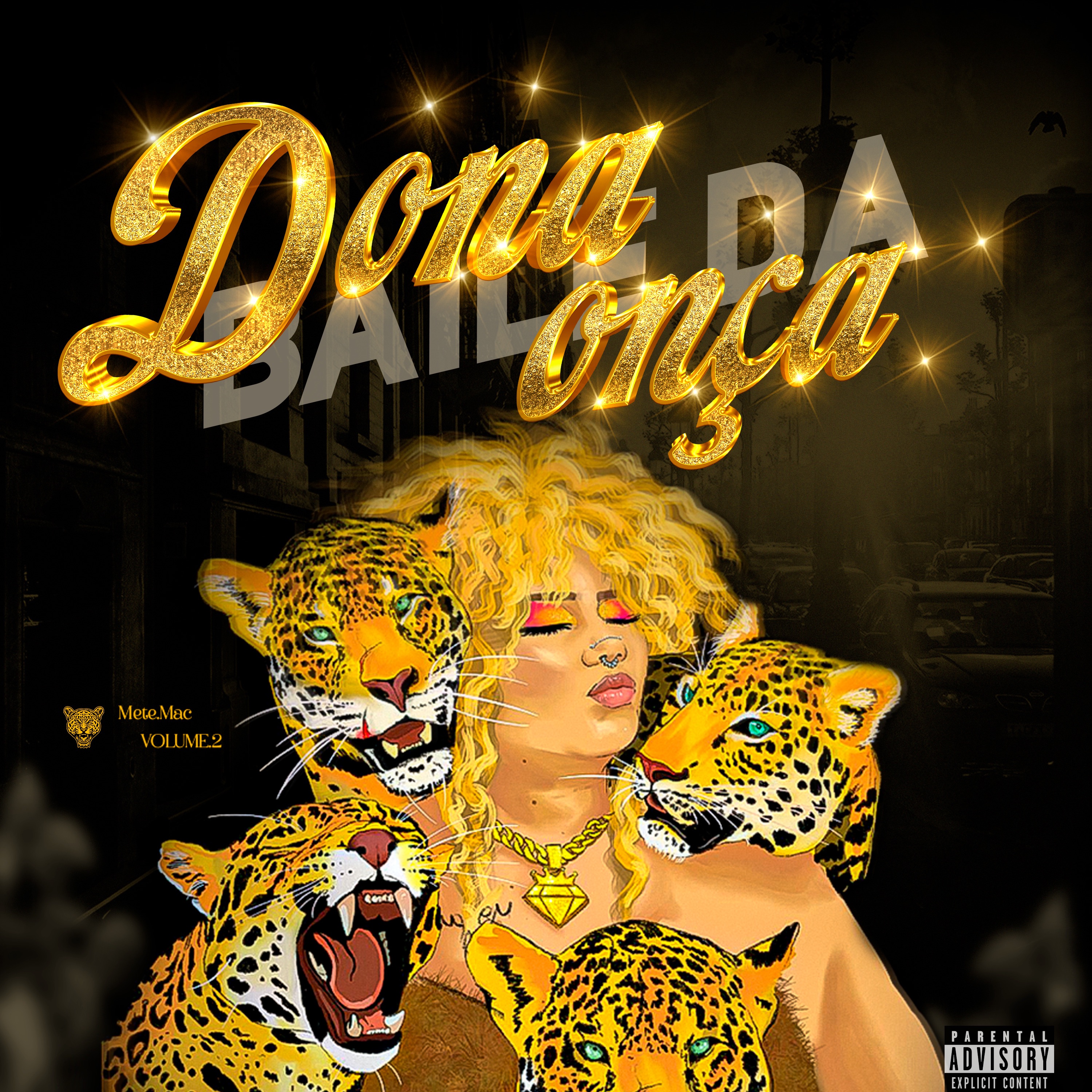 Baile da Dona Onça album cover