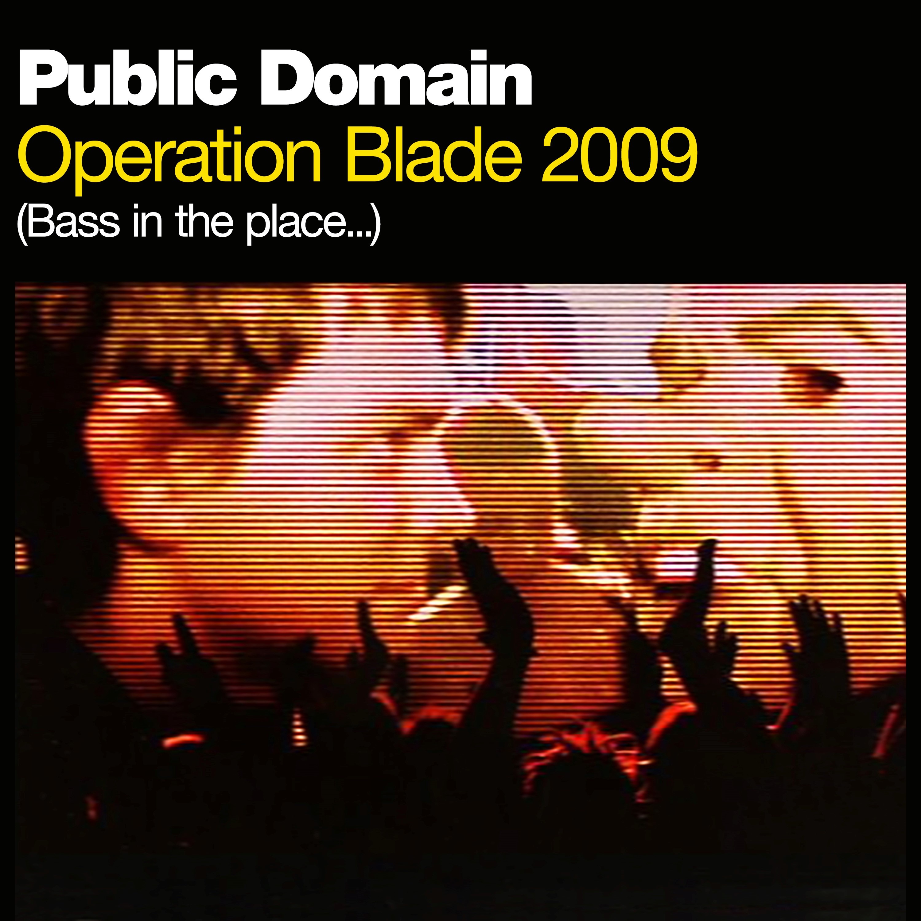 Operation Blade 2009 (Bass in the Place) album cover