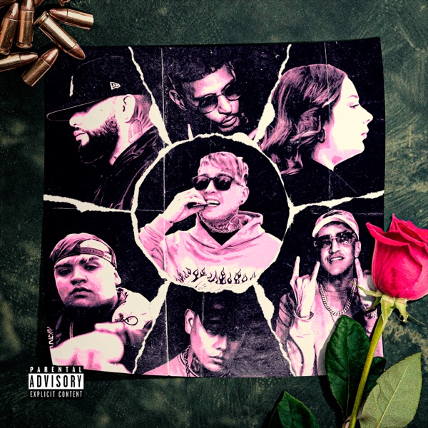 Amor de Bandolero (Remix) [feat. El Maniako The Boost, Franco El Gorila, El Joan & DeliriouS] - Sing album cover