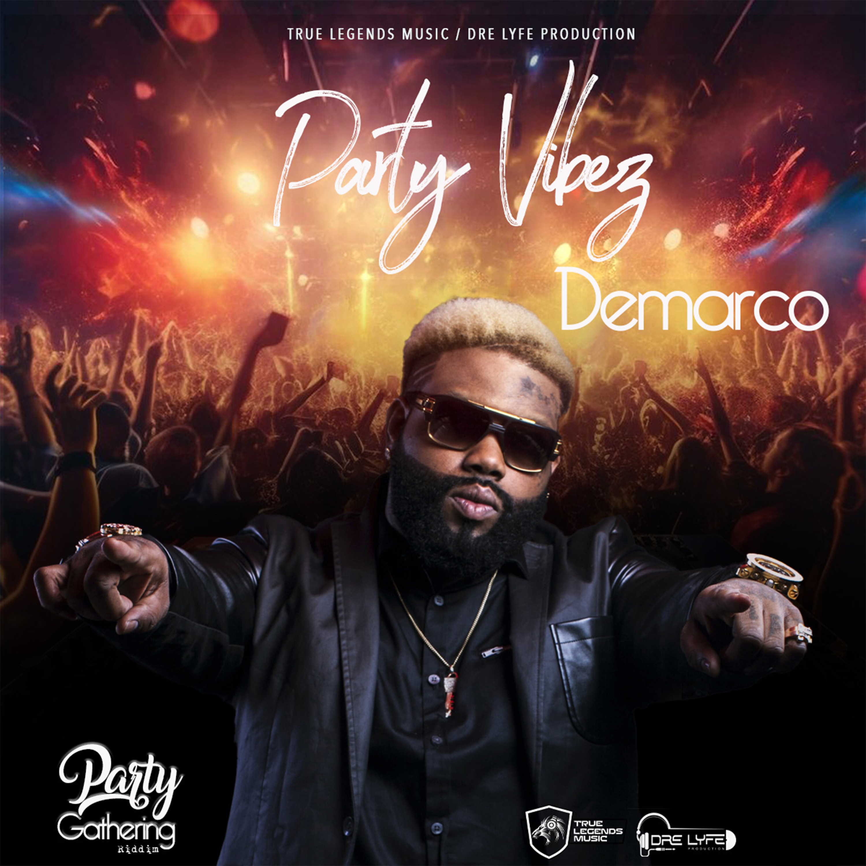 Party Vibes - Single album cover