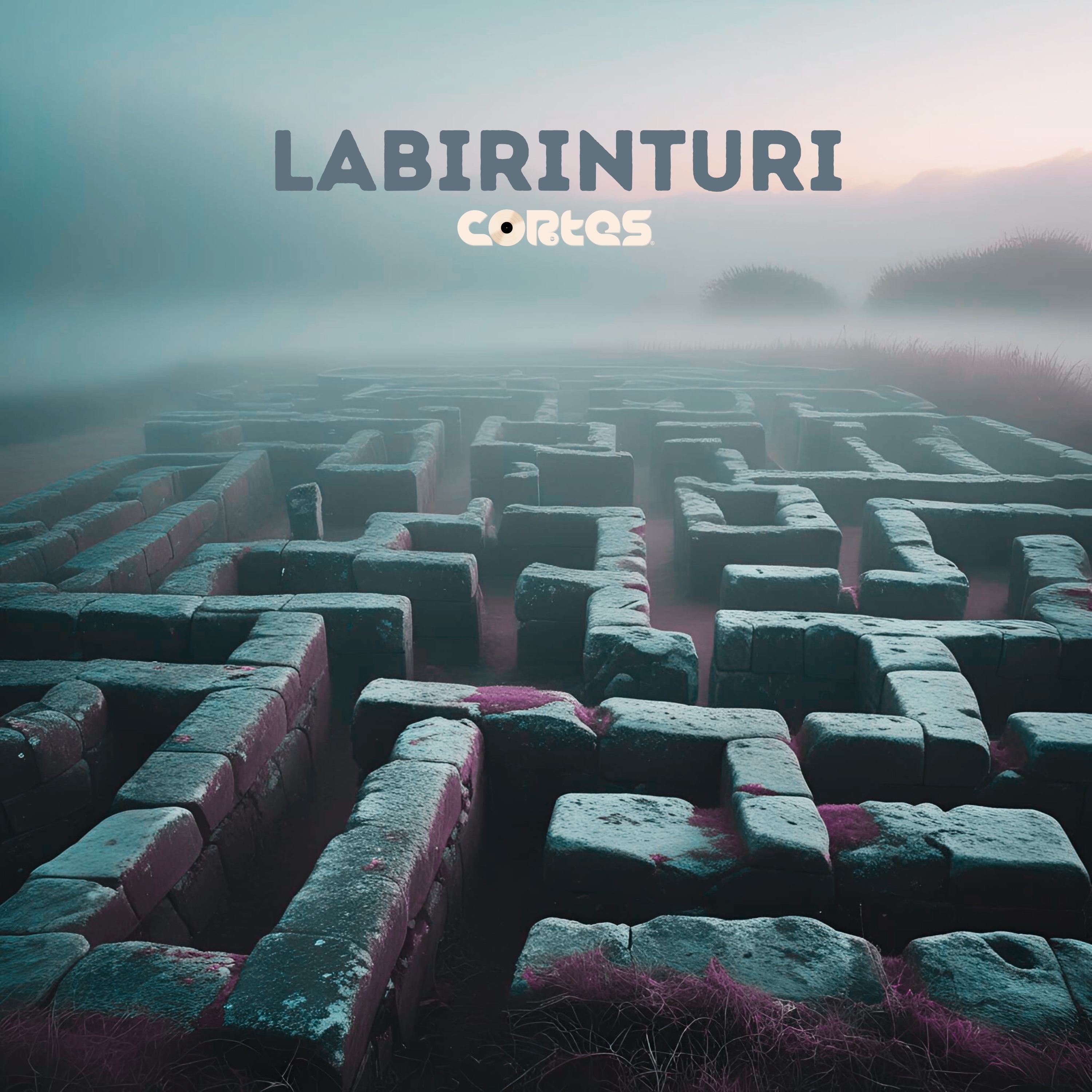 Labirinturi - Single album cover