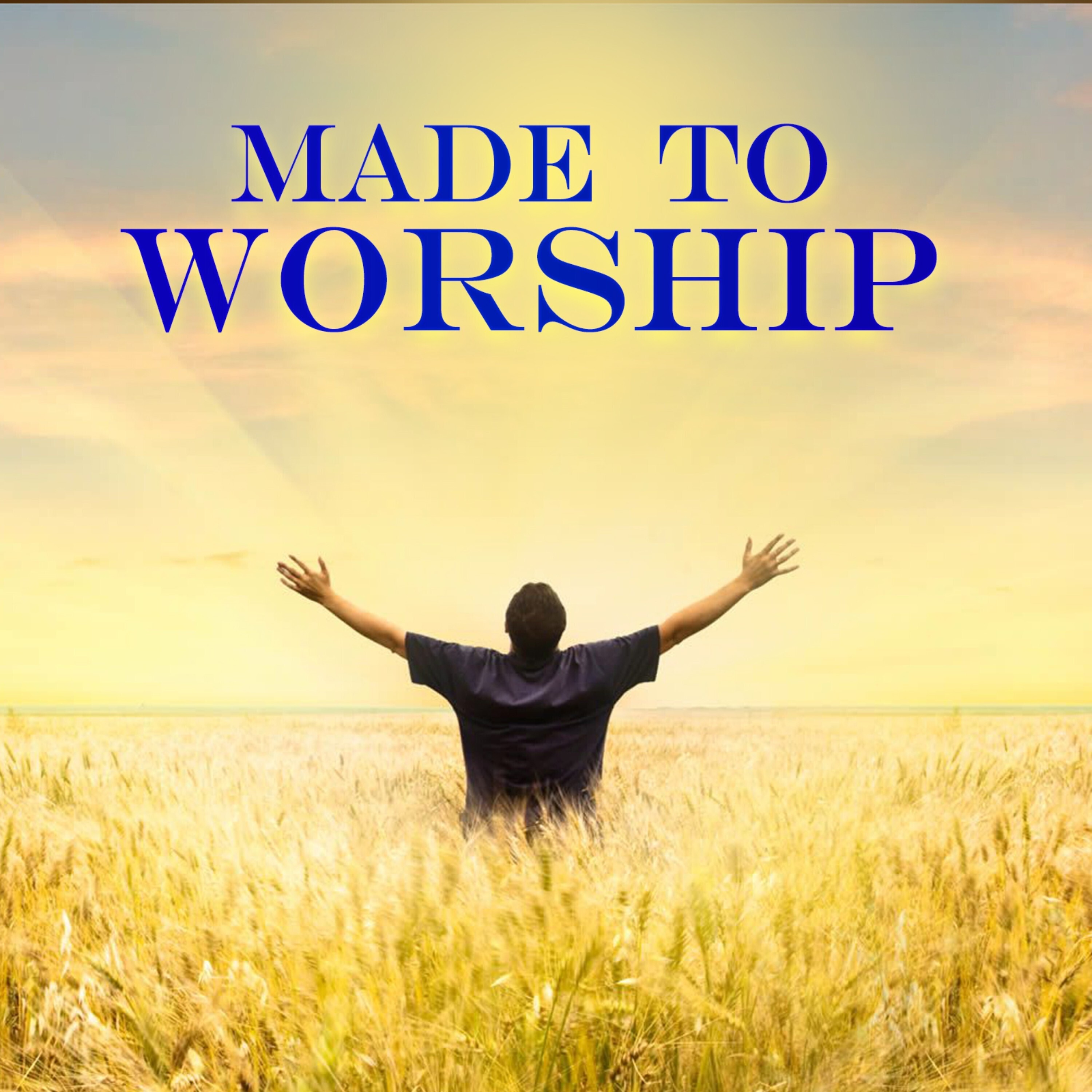 Made To Worship album cover
