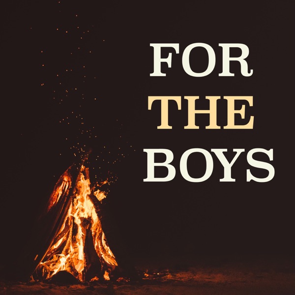 For the Boys - Single album cover