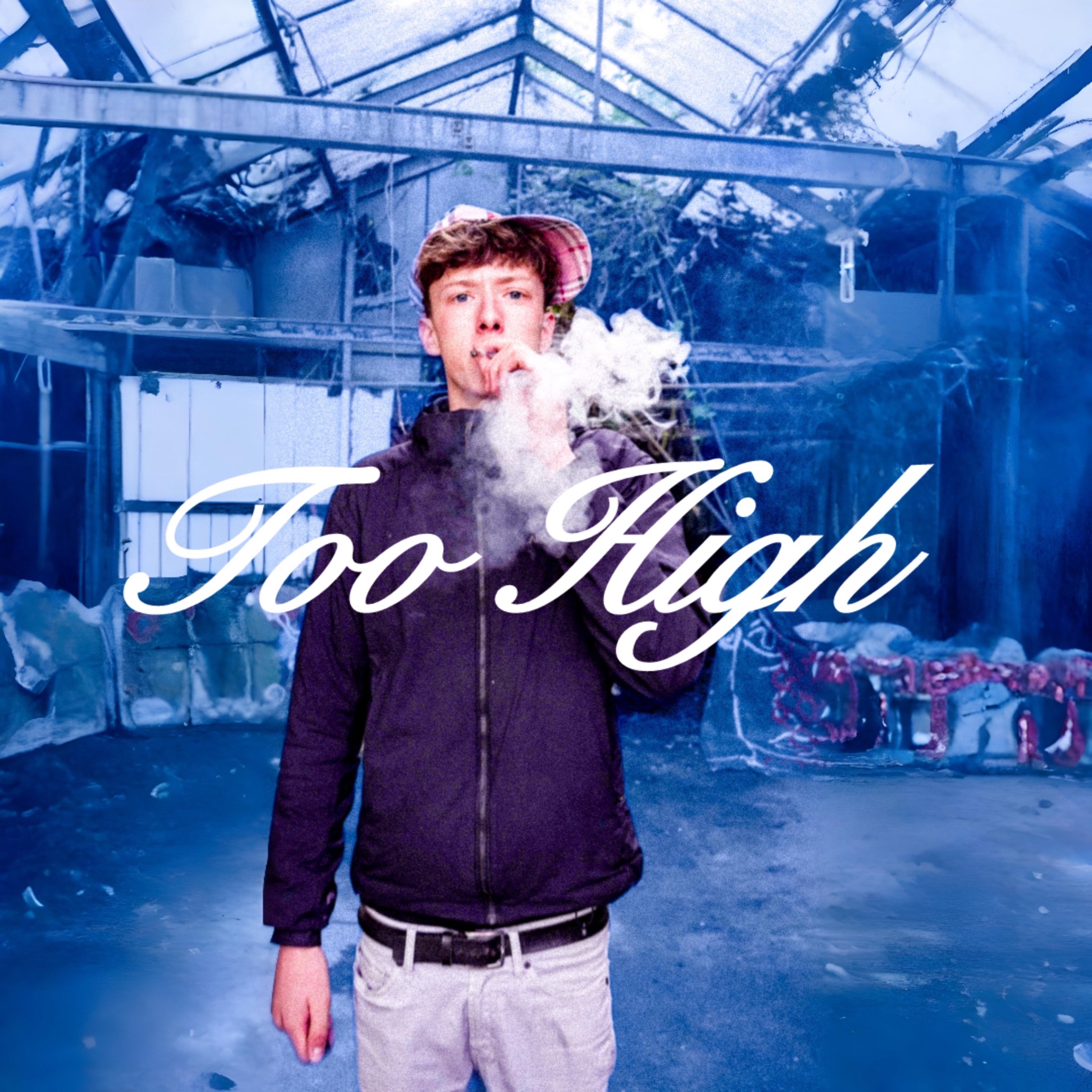 Too High - Single album cover