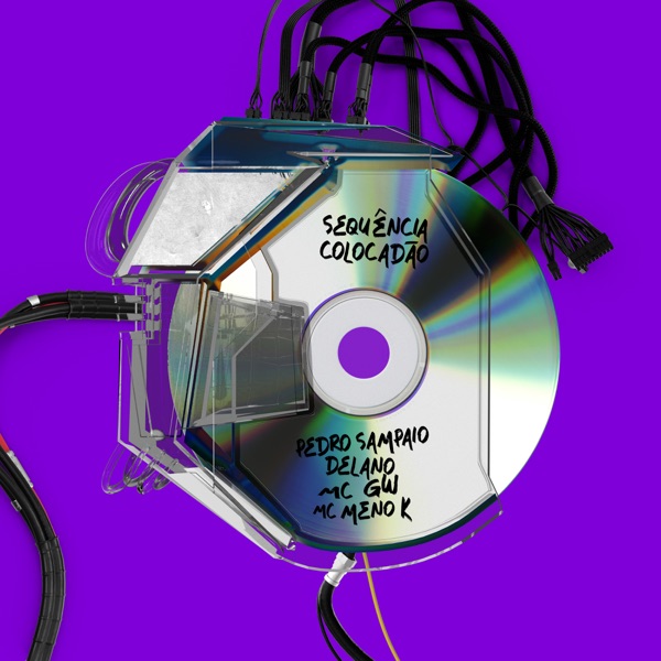 SEQUÊNCIA COLOCADÃO (feat. Delano) - Single album cover