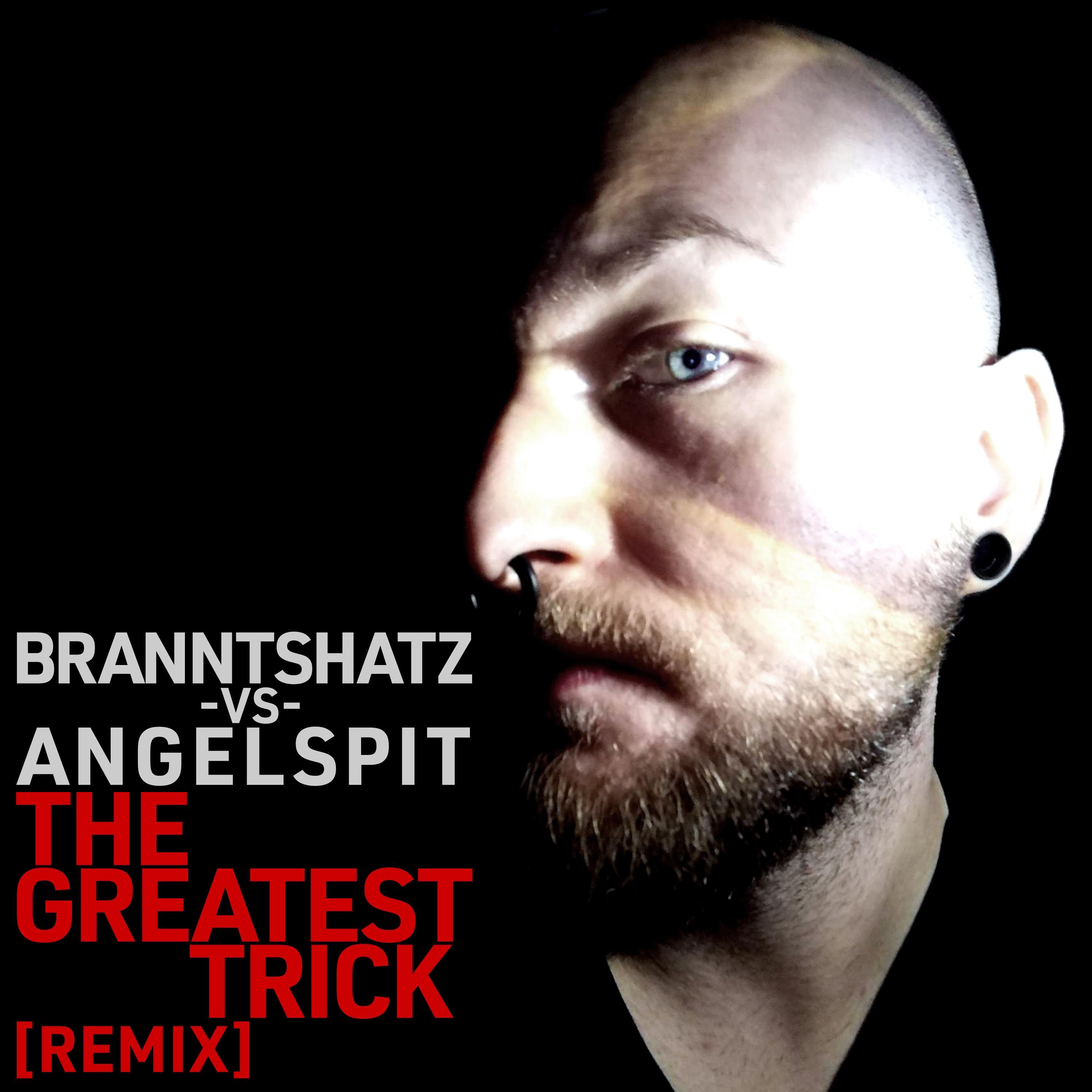 The Greatest Trick (BRANNTSHATZ Remix) - Single album cover