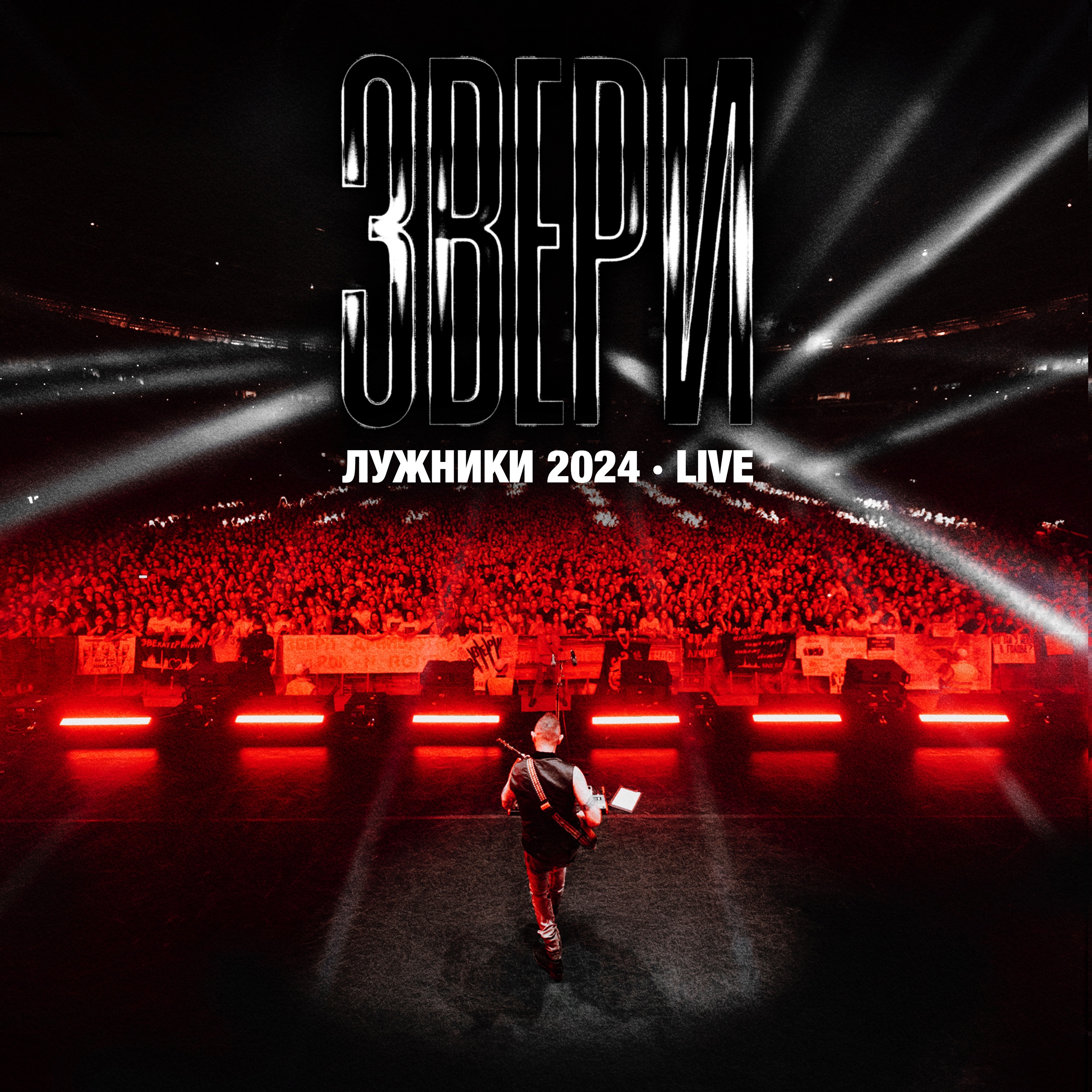 Лужники 2024 (Live) album cover