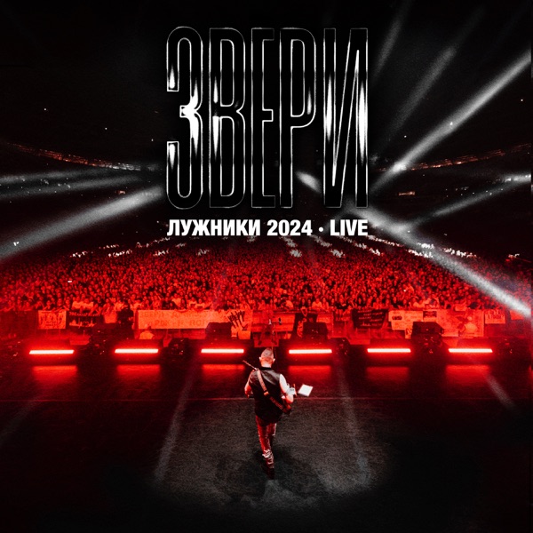 Лужники 2024 (Live) album cover