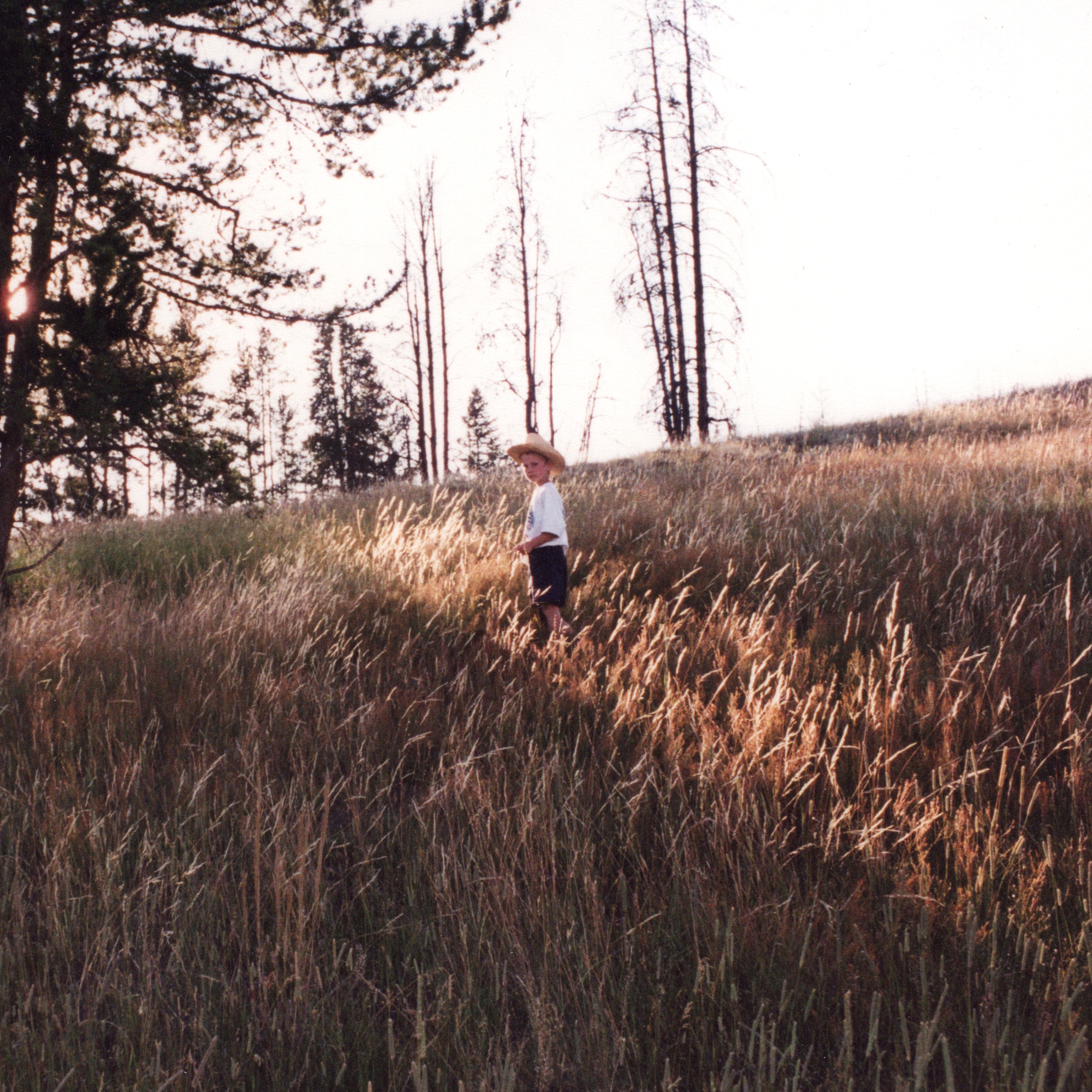 Old Man - Single album cover