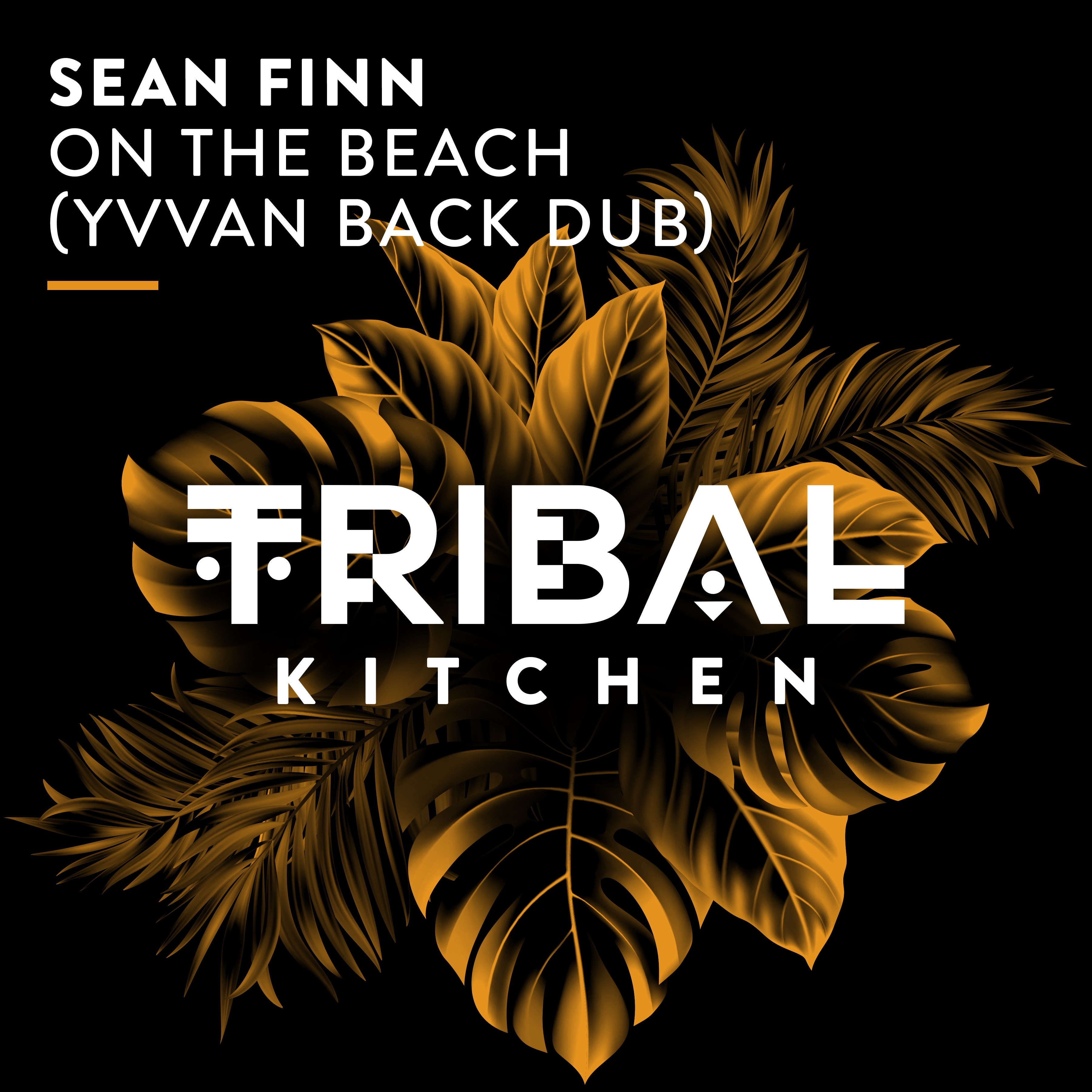 On the Beach (Yvvan Back Dub) - Single album cover