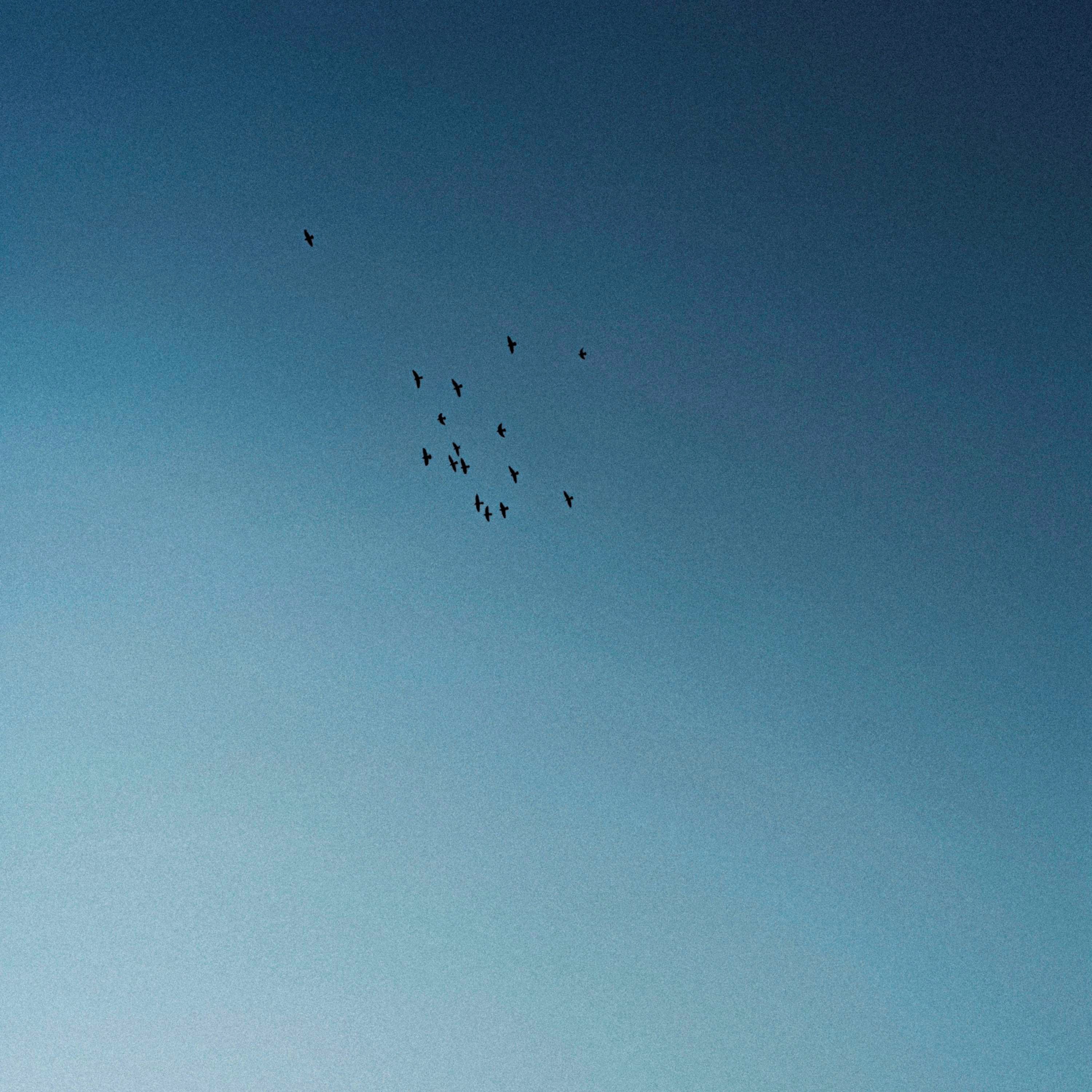 Let Go - Single album cover