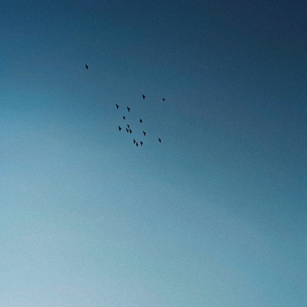 Let Go - Single album cover