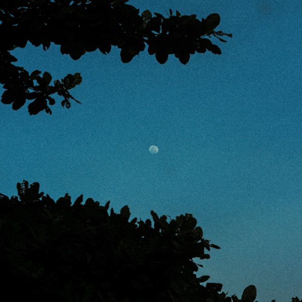 last day of summer - Single album cover