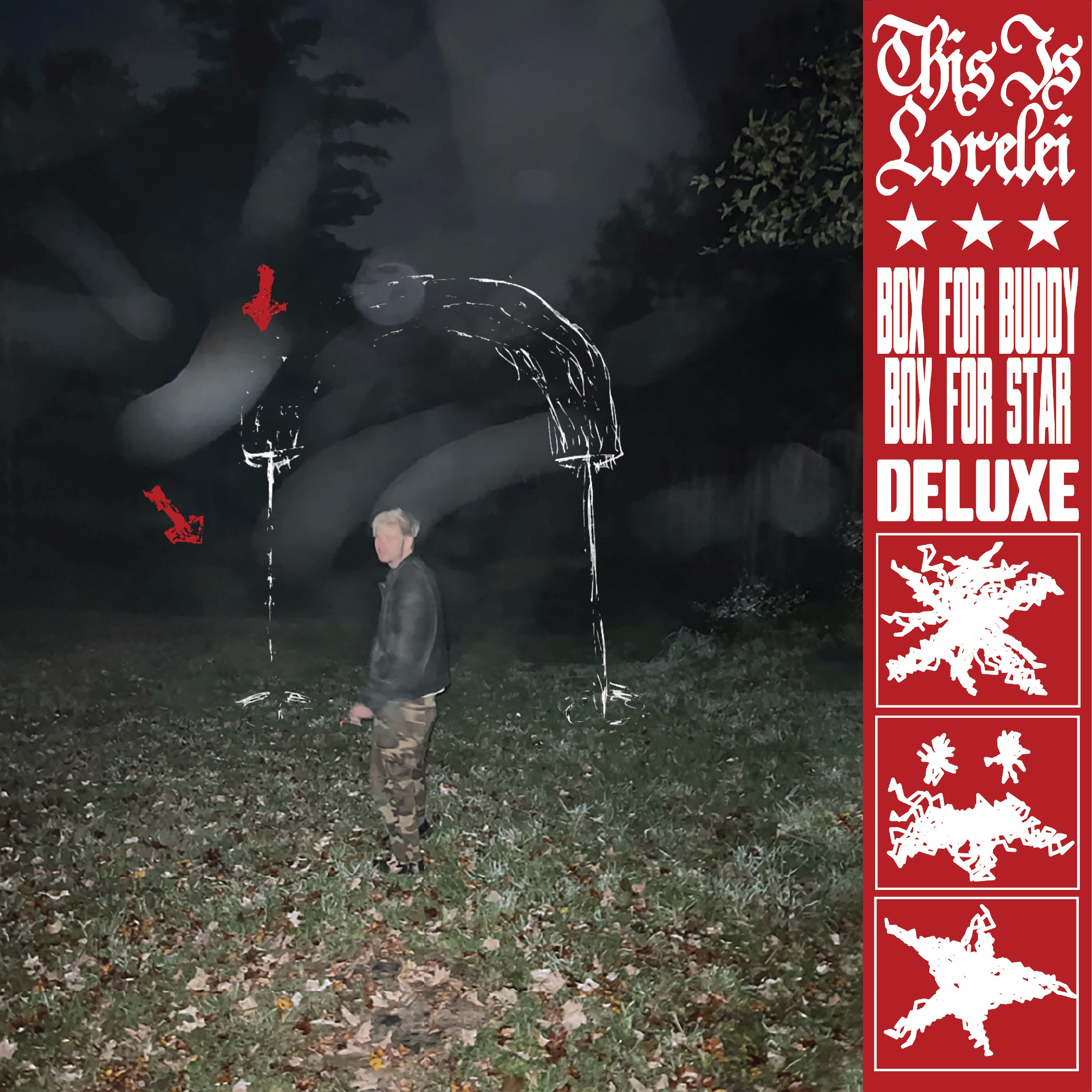 Box for Buddy, Box for Star album cover