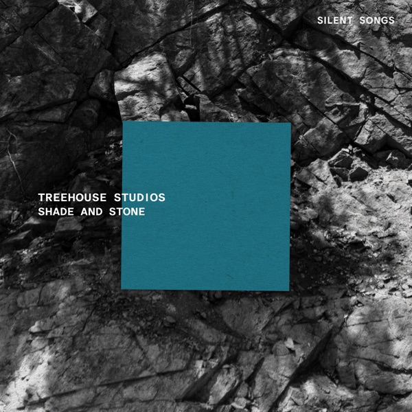 Shade and Stone album cover