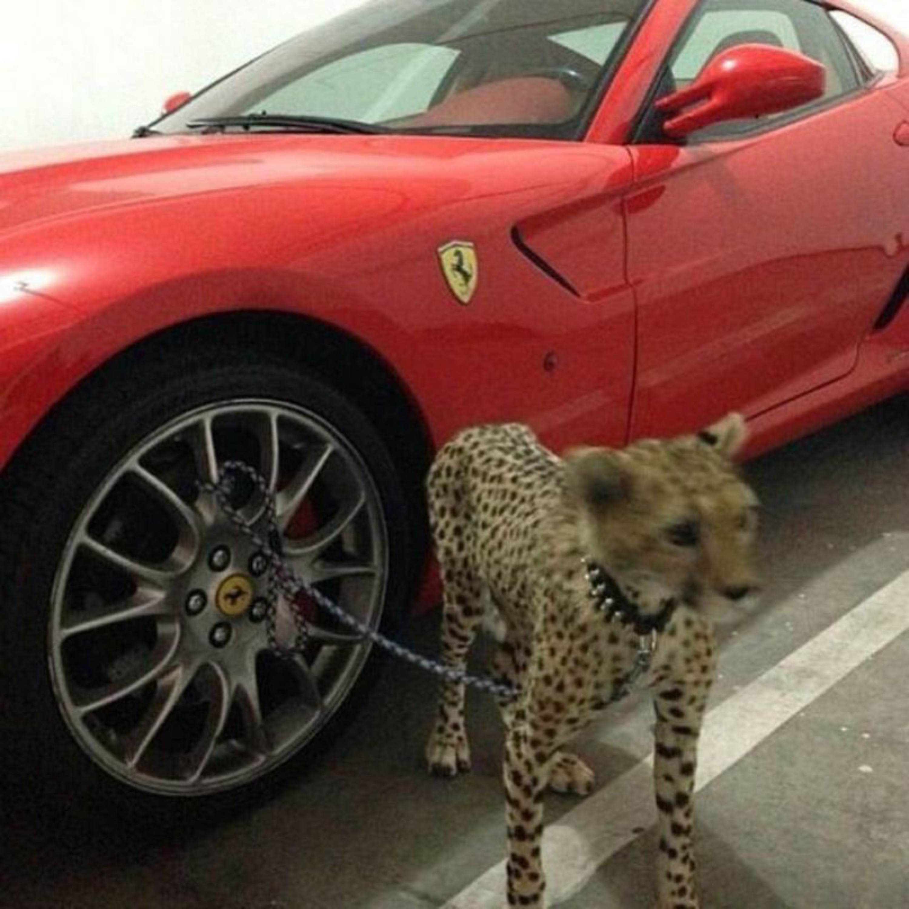 yukon x up! - Single album cover