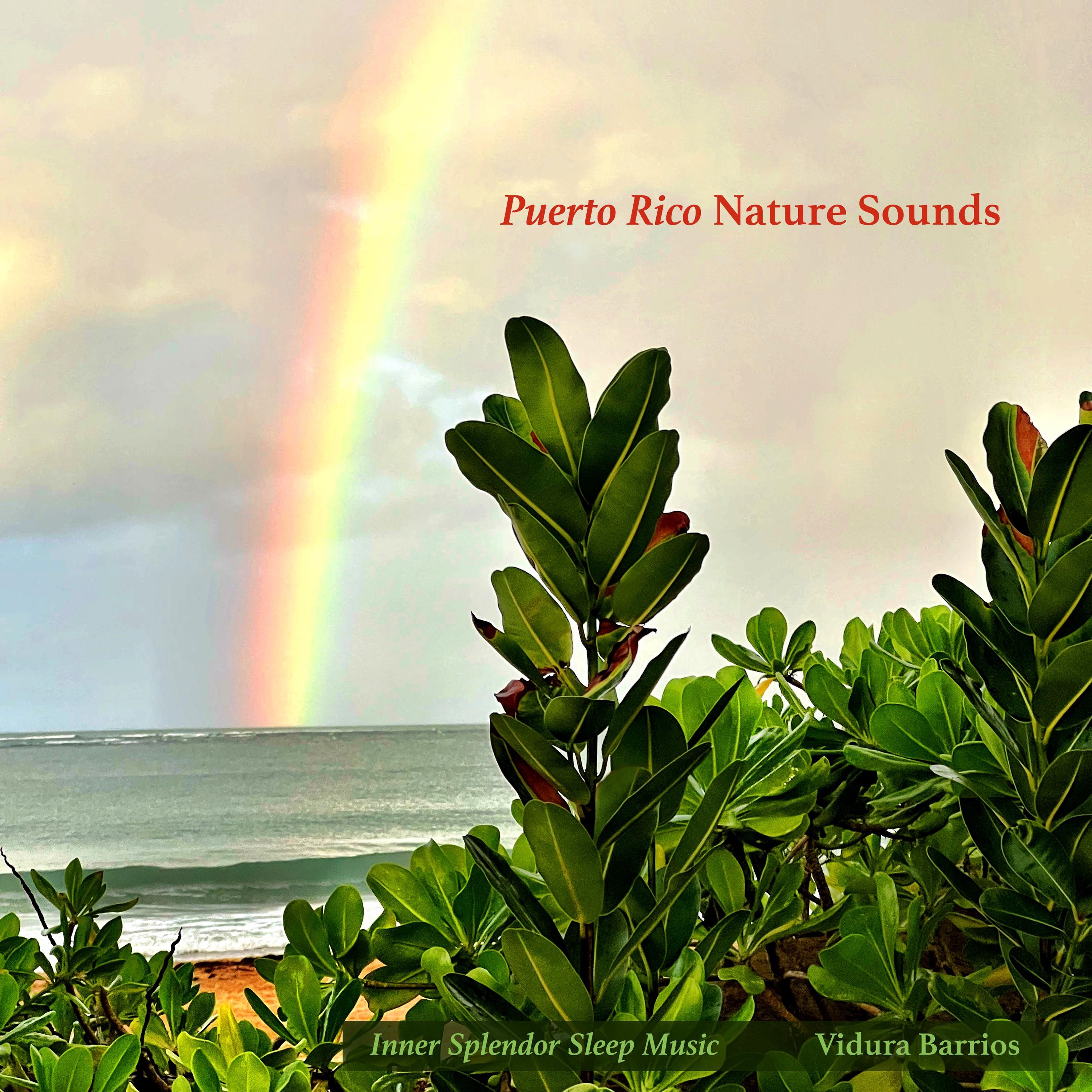 Nature Sounds of Puerto Rico album cover