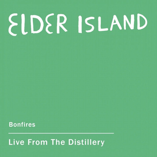 Bonfires - Single album cover