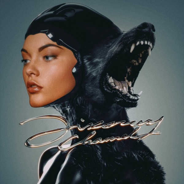 Discovery Channel - Single album cover