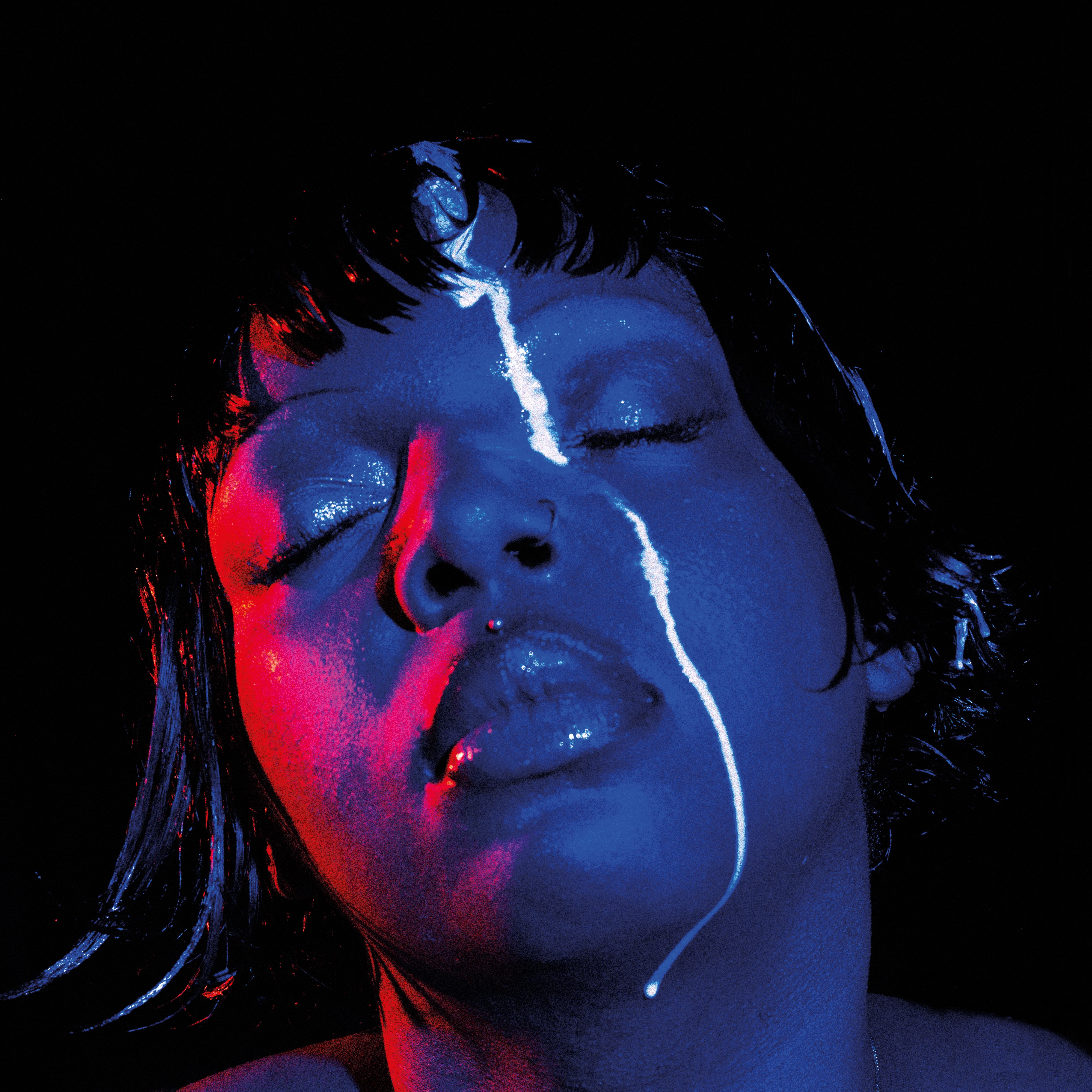 hooke’s law album cover