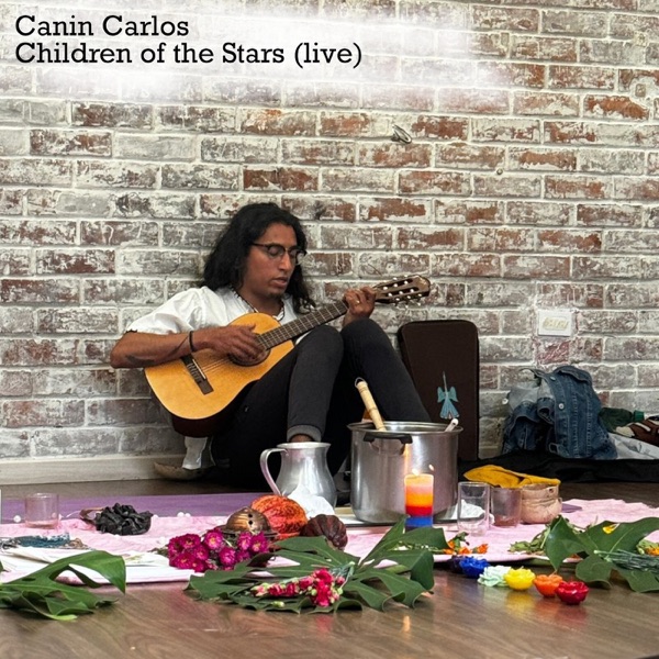 Children of the Stars (Live) [feat. Fisch & Haley] - Single album cover