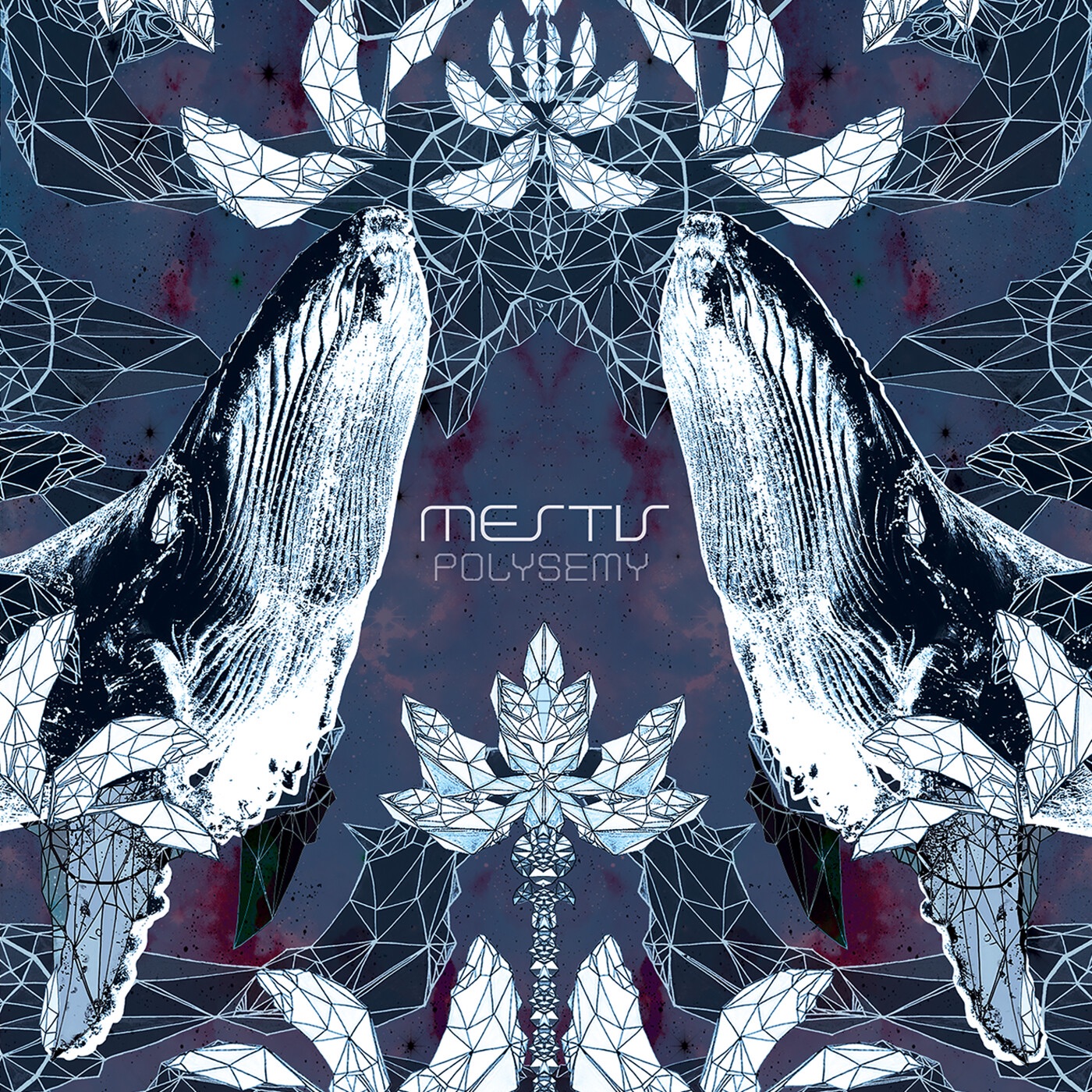 Polysemy album cover