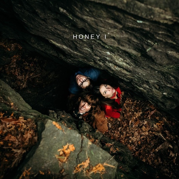 Honey I - Single album cover