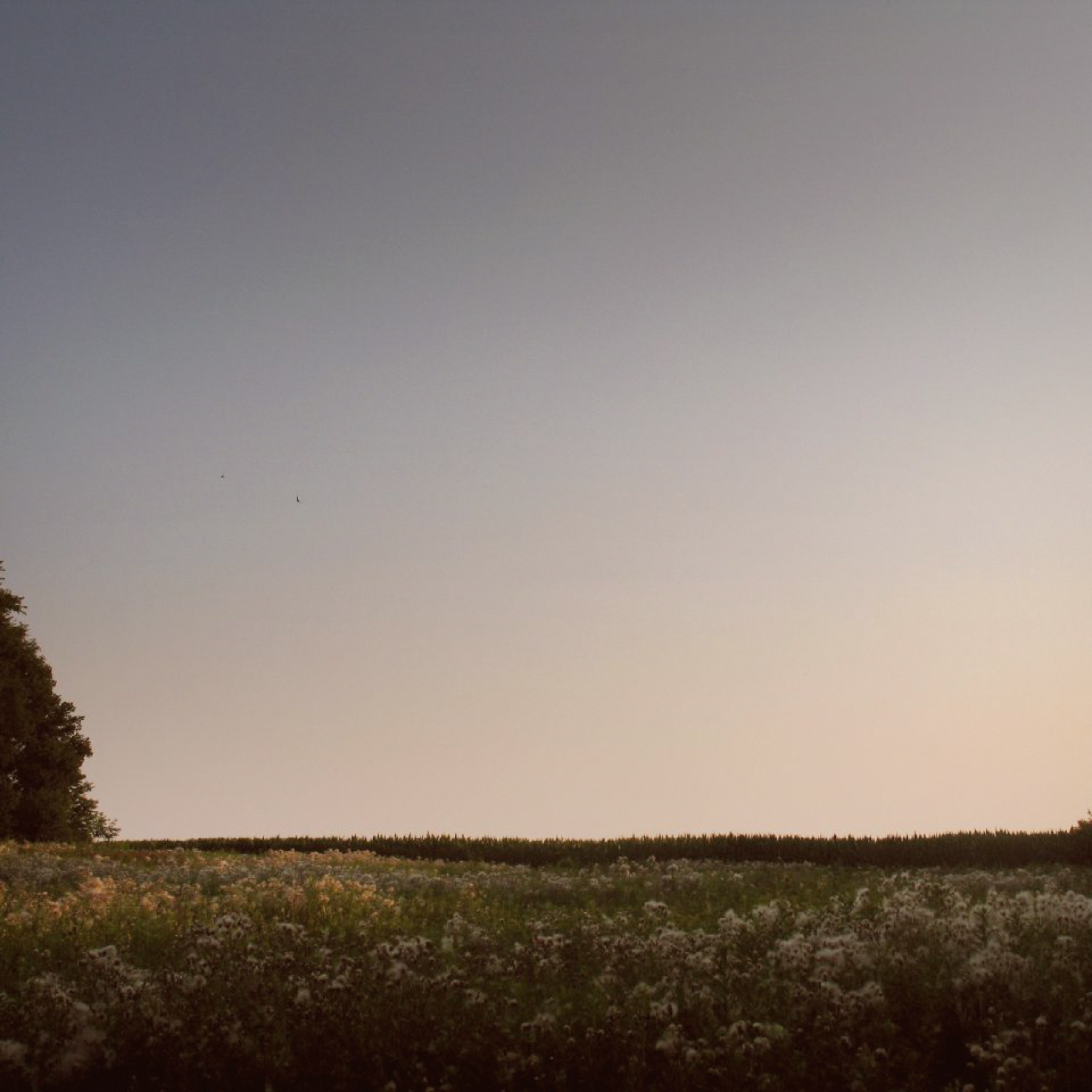 The Heart of High Places - EP album cover